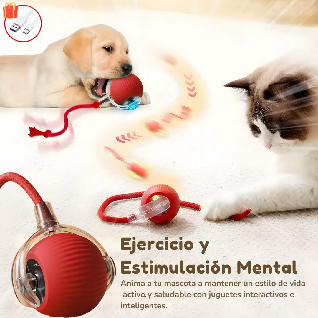 Juguete interactivo para mascotas