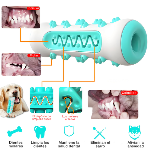 Juguete masticable para limpieza dental