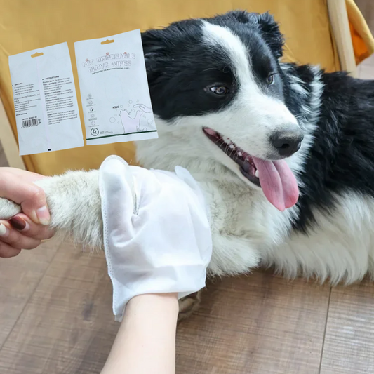 + 6x GRATIS Guantes de Higiene para Mascotas